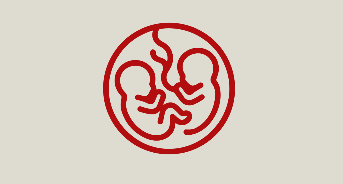 Twins icon graphic