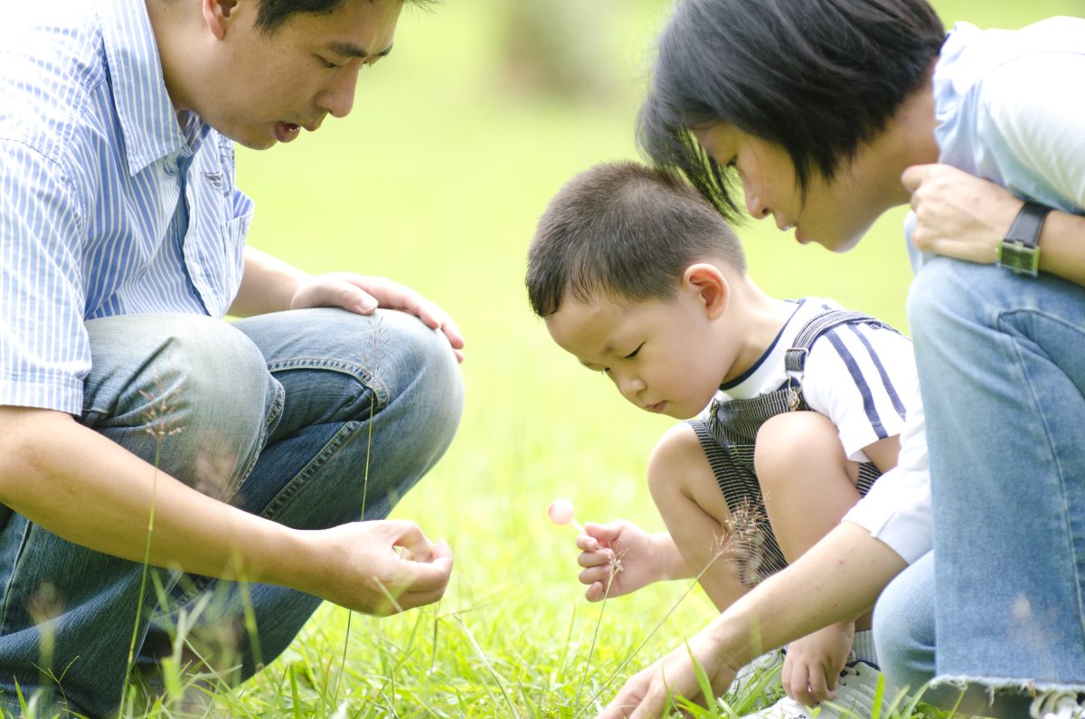 Family looking and picking grass on a sunny field